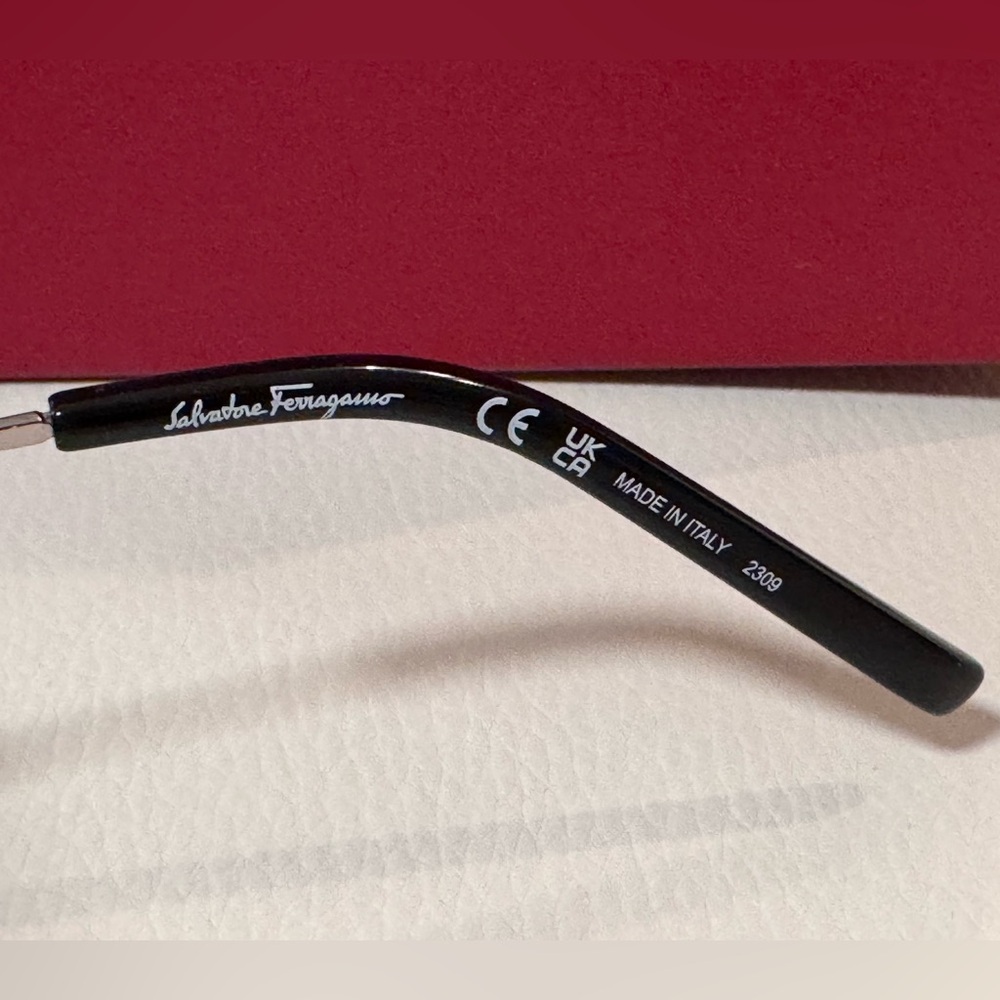 FERRAGAMO unisex sunglasses, NWT - Picture 7 of 15